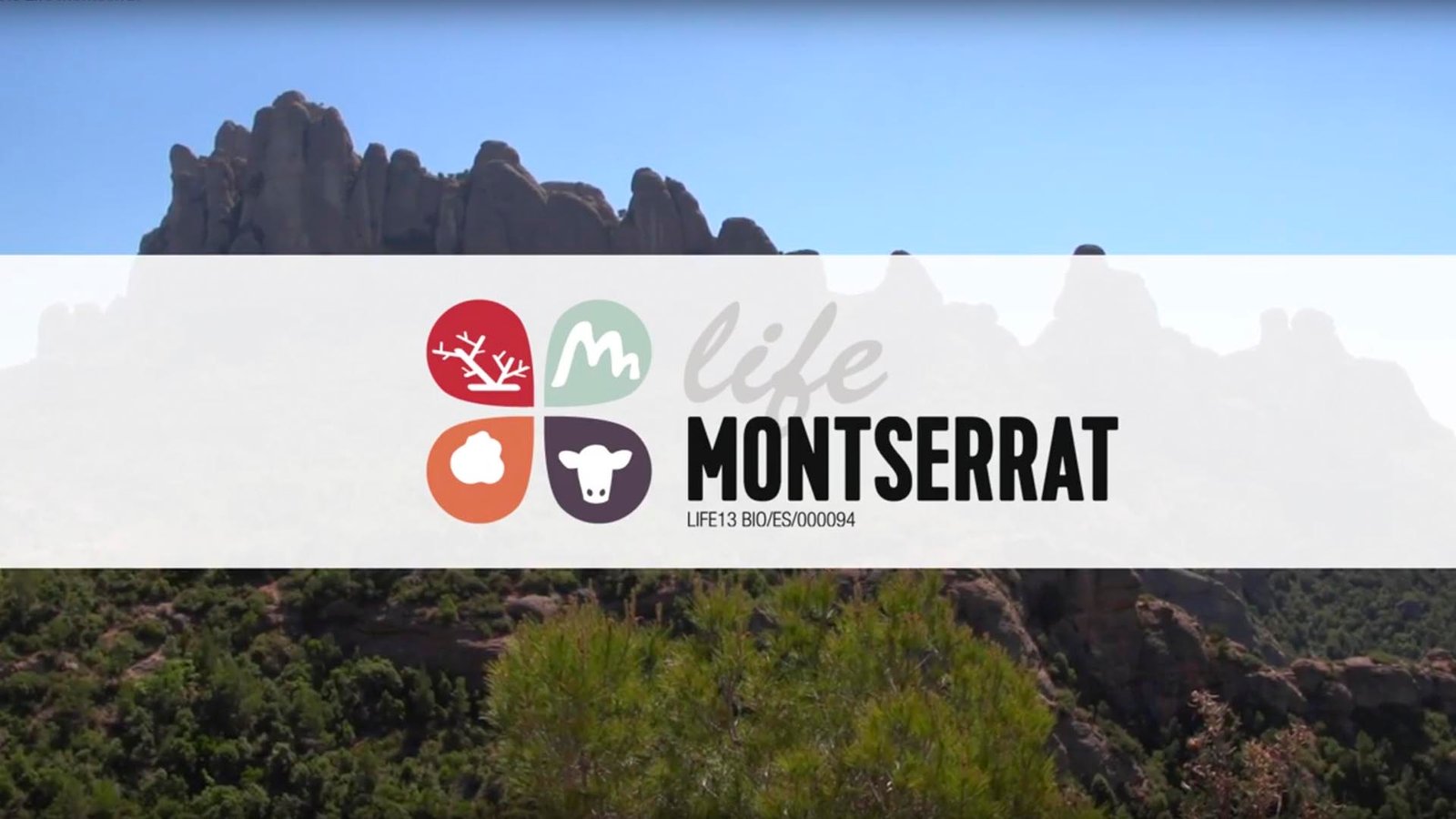 LIFE MONTSERRAT.jpg